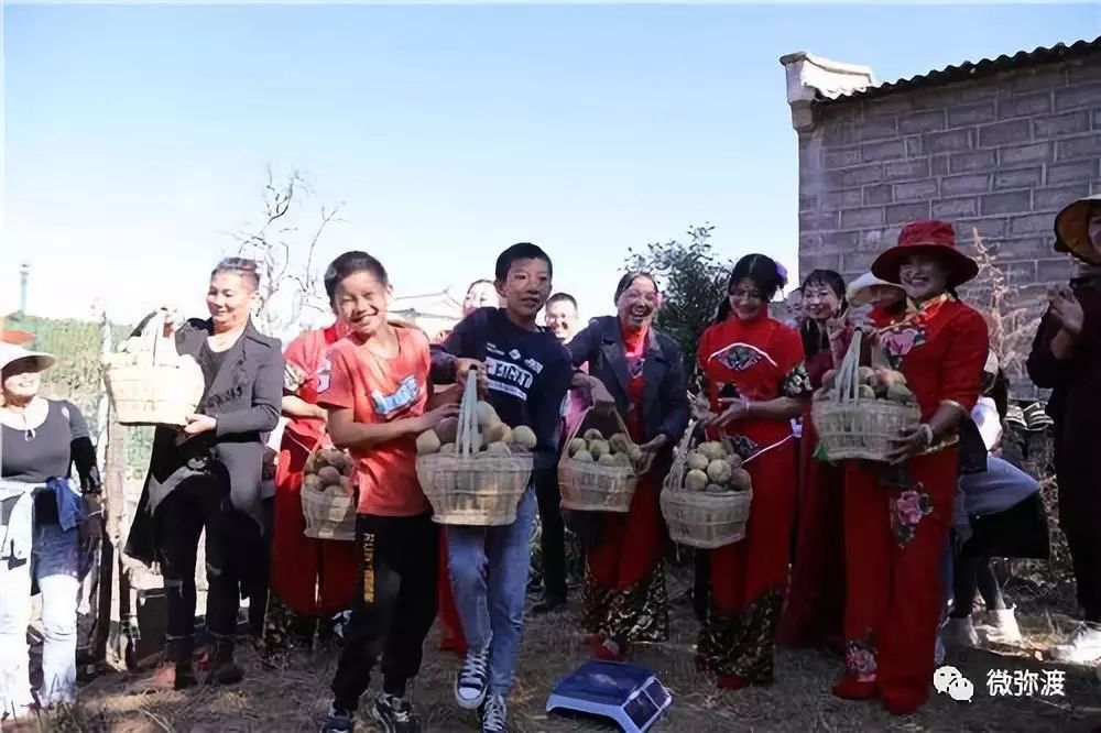 冬桃挑起农特“群英汇”，雾本丰收季电商很给力