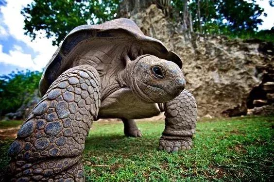 免签的亚洲海滩,六个免签海岛颜值完爆马岱