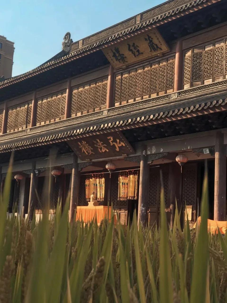 书藏古今港通天下,书藏古今港通天下央视