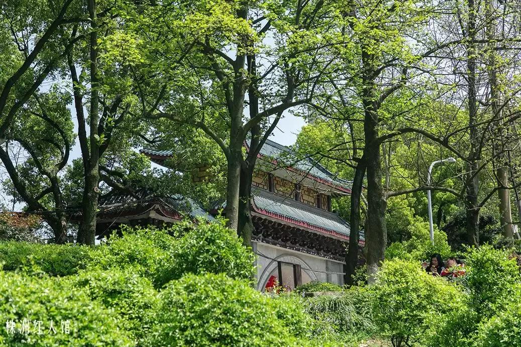 株洲神农公园的传说,株洲神农公园游览图