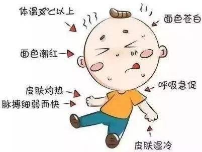 盛夏来袭，您关心的“中暑”知识全在这了！