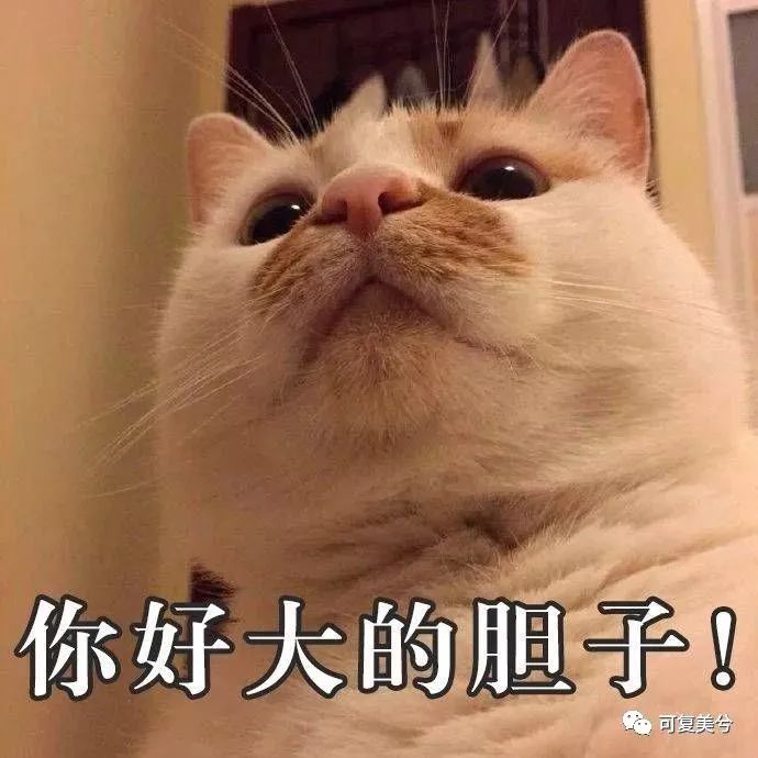 医美面膜如何辨别真伪,医美面膜到底是不是骗人的