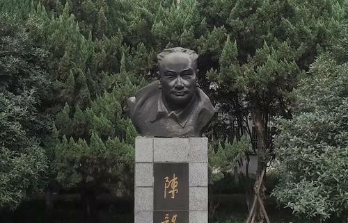 聂卫平和吴清源下棋,聂卫平和陈毅走棋的电影