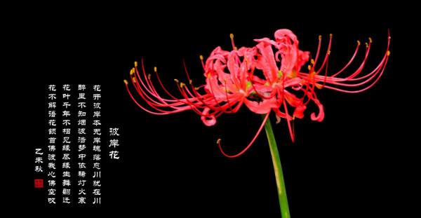 高阳公主真实历史最终下场,高阳公主到底有多荒唐