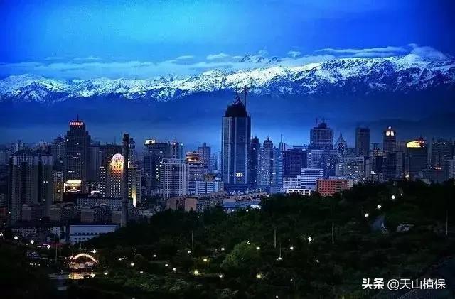 上榜啦！*疆新**鸟市和石市即将被国家命名！未来发展不可估量