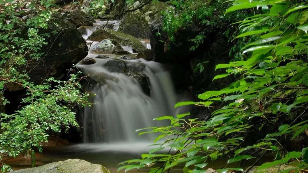 马云去的江西小镇,马云在浙江几个小镇