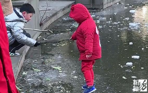 乐极生悲？上海人都开始练冰上运动了，但有人落水，有人撞断消防栓…
