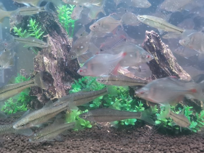 <html>
<head><title>502BadGateway</title></head>
<body>
<center><h1>502BadGateway</h1></center>
<hr><center>nginx</center>
</body>
</html>
<!--apaddingtodisableMSIEandChromefriendlyerrorpage-->
<!--apaddingtodisableMSIEandChromefriendlyerrorpage-->
<!--apaddingtodisableMSIEandChromefriendlyerrorpage-->
<!--apaddingtodisableMSIEandChromefriendlyerrorpage-->
<!--apaddingtodisableMSIEandChromefriendlyerrorpage-->
<!--apaddingtodisableMSIEandChromefriendlyerrorpage-->
