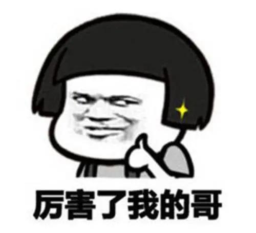 有一种痛,是你的宠物嫌你学历低了