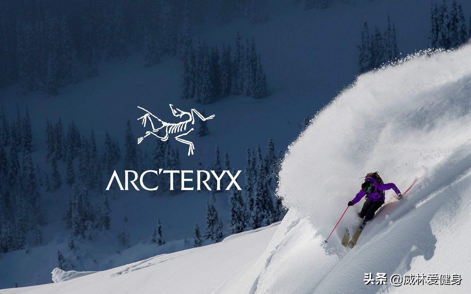 户外始祖鸟趋势,户外品牌始祖鸟最好吗