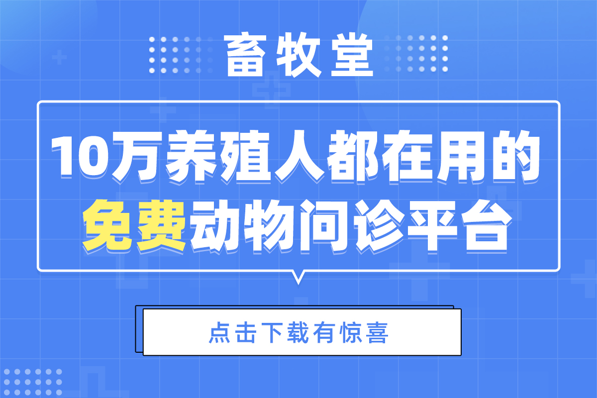 仔猪体温低是什么原因造成的,仔猪体温低什么病用什么药