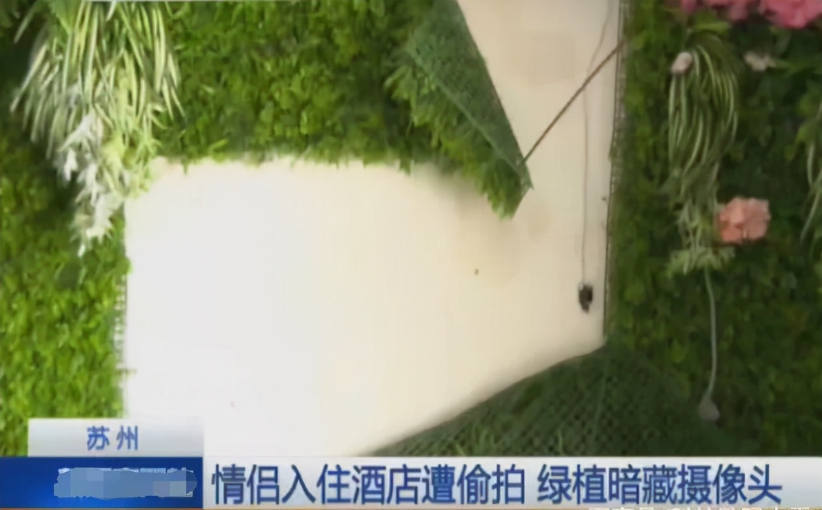 夫妻遭小偷8小时偷拍,夫妻住宾馆三年被偷拍