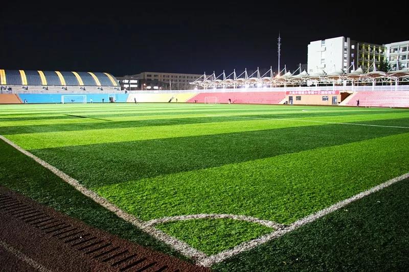 多个运动场馆免费开放,动起来体育公园