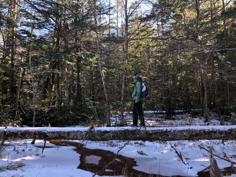 觅乐速干羊毛排汗保暖内衣,millet内衣