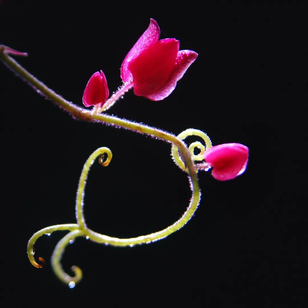 香港第14届全国摄影艺术展,第29届全国摄影艺术展览获奖名单