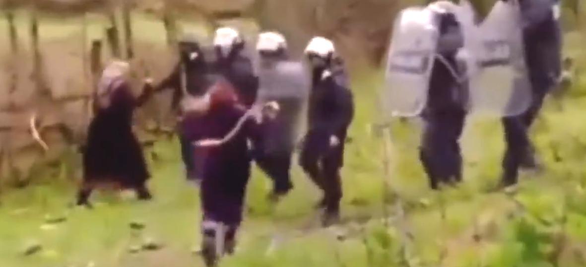 车臣打俄罗斯多少人,车臣人打阿尔及利亚人