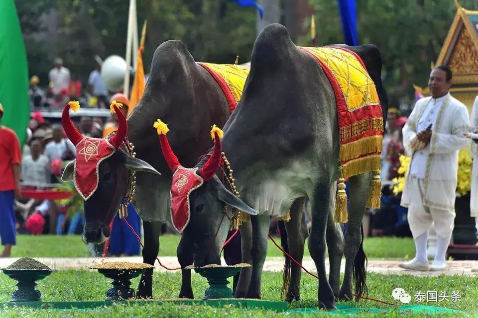 泰国不可错过的节日,泰国重要节日有哪些
