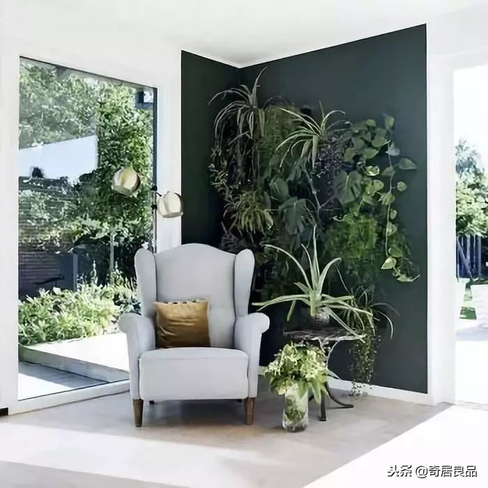 怎样弄一个简单的花园,如何在家打造一个花园