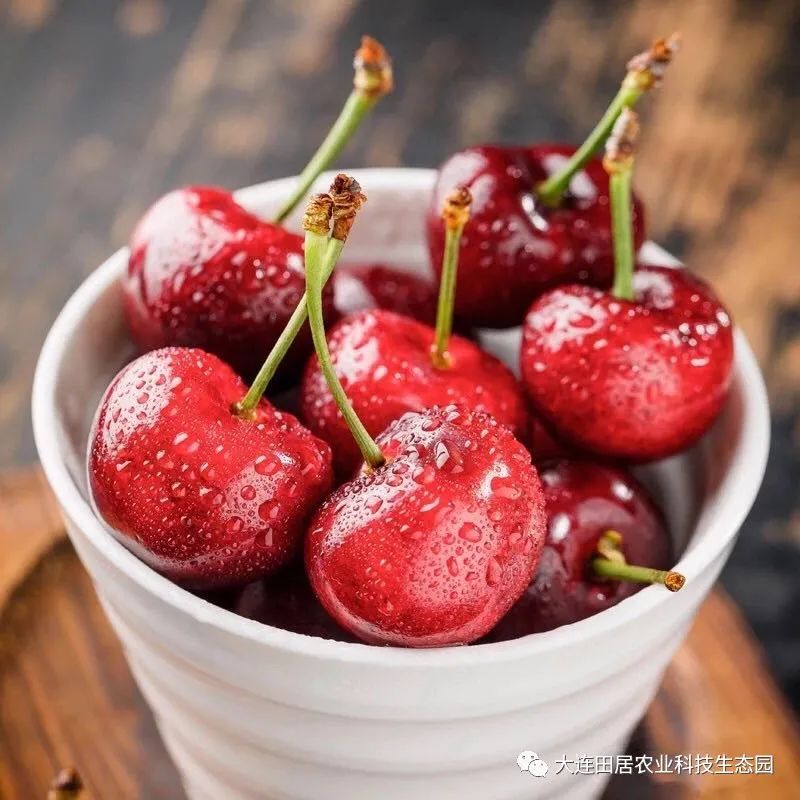 大连樱桃和其他产区樱桃口感区别,山东樱桃和大连樱桃哪个好