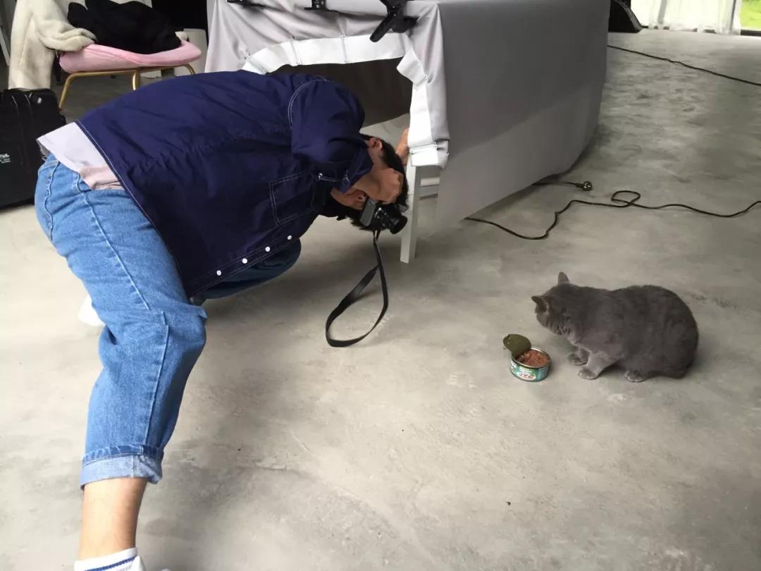 怎样学习摄影拍照技术,学习拍照技术技巧