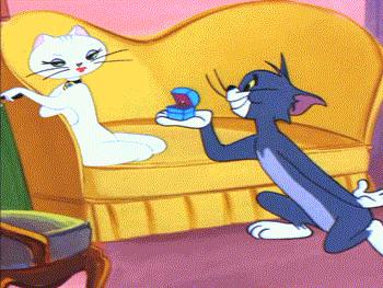 二十年后的汤姆猫,许多年后汤姆猫