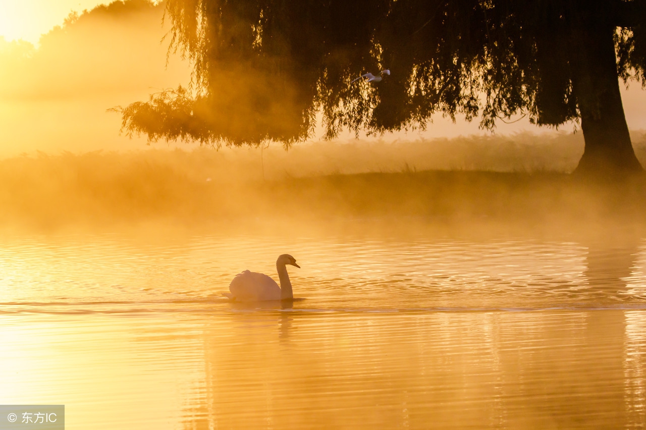 宋词300首精选短篇大全,宋词三百首精选大全