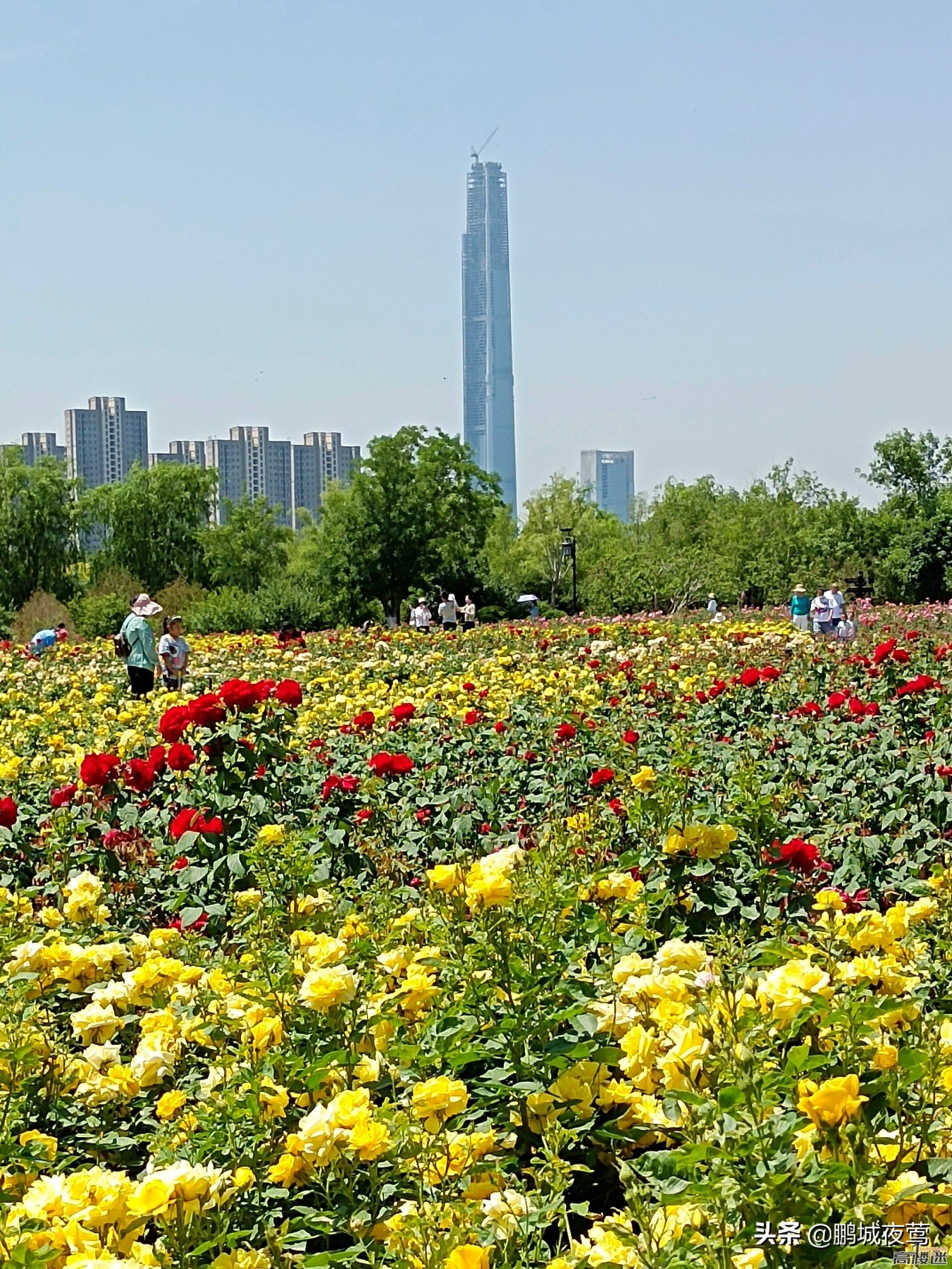 天津117大楼是最高的烂尾楼吗,天津117大厦是世界上最高的楼吗