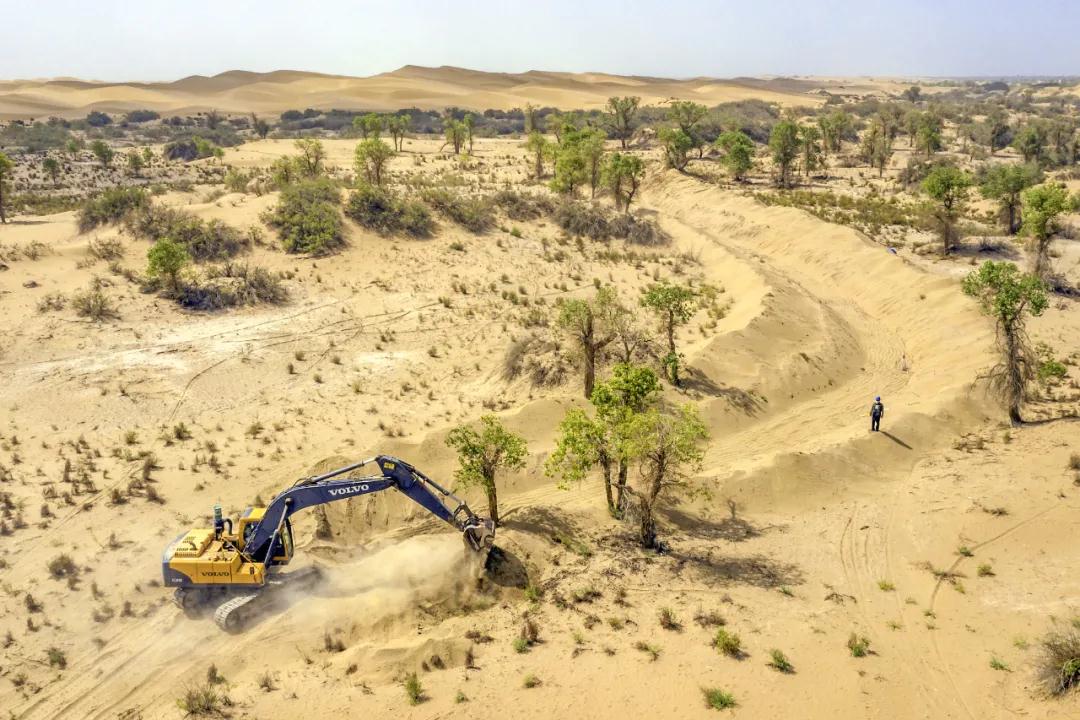 中国植树造林面积,中国植树造林成果国外有什么看法