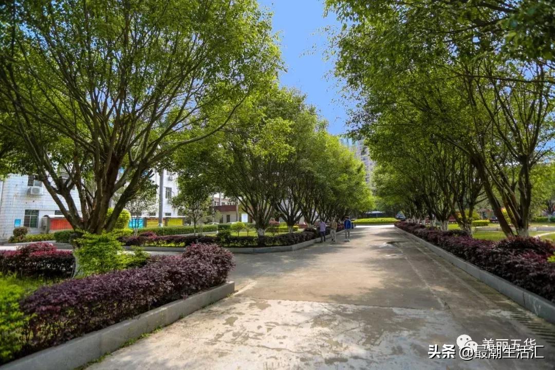 五华田家炳中学美术,五华田家炳中学简介