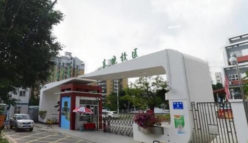 深圳翠园东晓中学怎么样,深圳翠园中学东晓校区录取率