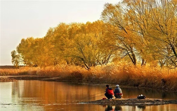 串钩钓法需要打窝吗,抛竿串钩钓鱼技巧教程