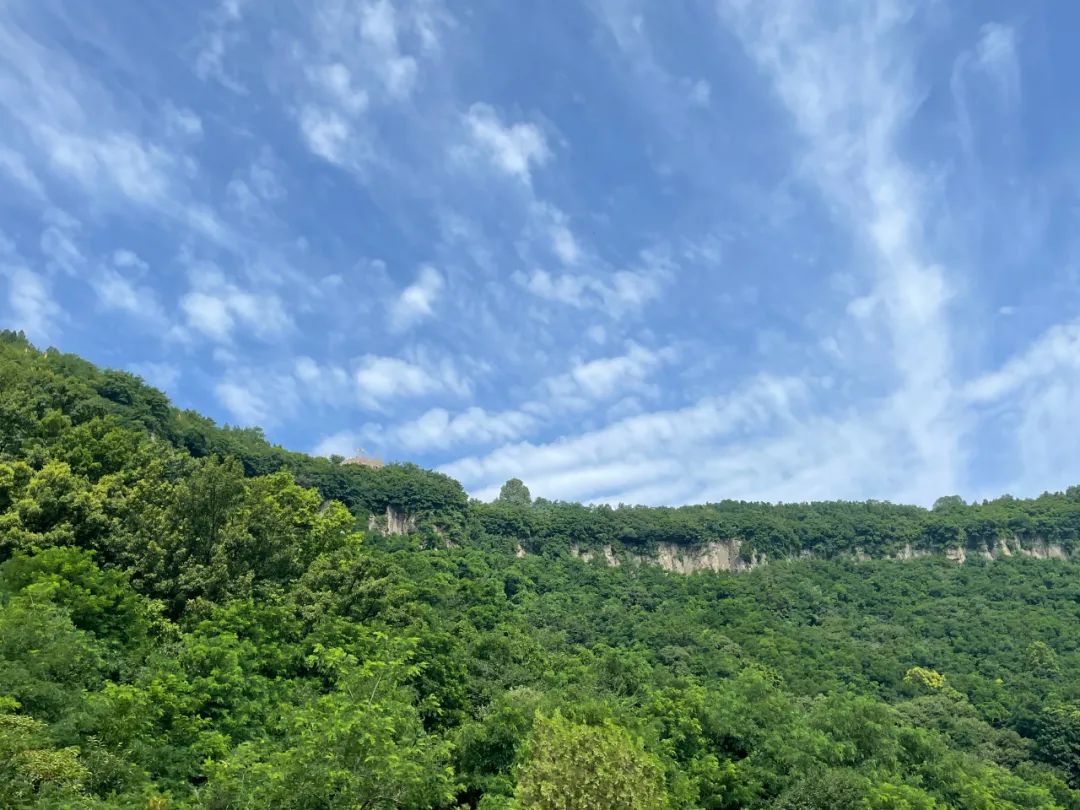 “神兽”归笼，九月临沂天上王城许你一个醉美秋天！