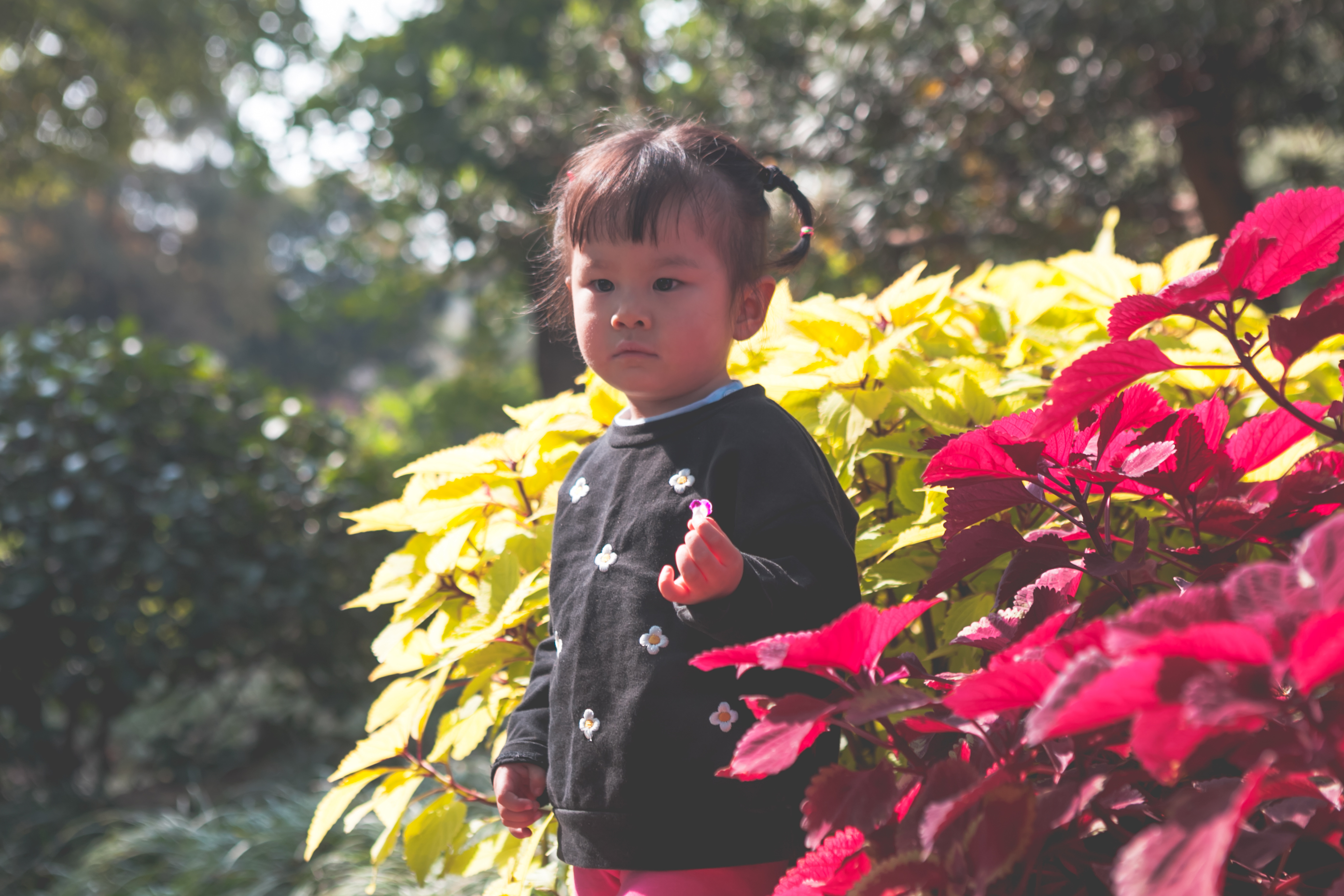 秋天的无锡美的醉人，去无锡旅行，这些好地方不要错过了