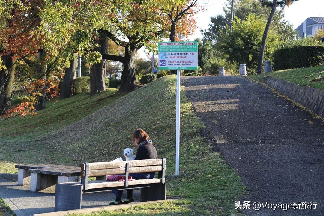 秋天来京都，体验「限定红」的“枫”情万种