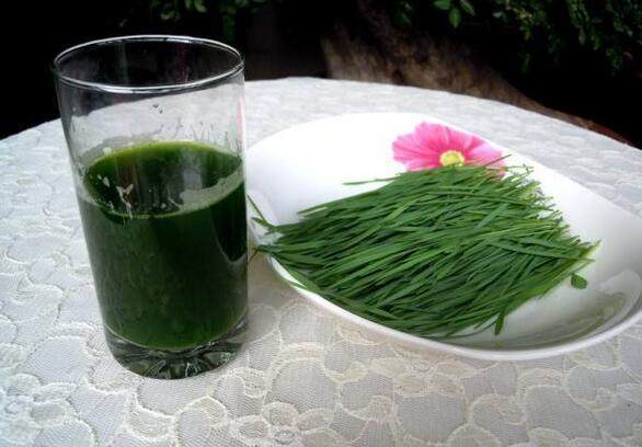 青汁到底有没有什么效果,青汁豆奶的功效与作用