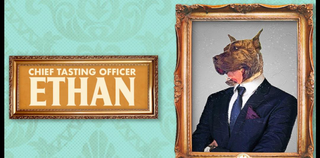 骨瘦如柴的狗狗运气爆棚，接连遇到3位贵人，过上人人羡慕的生活