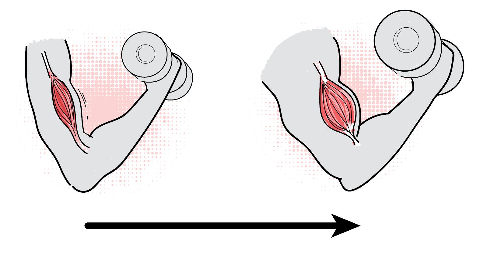 力量训练比有氧运动更减脂吗,有氧运动和力量训练哪个瘦得快