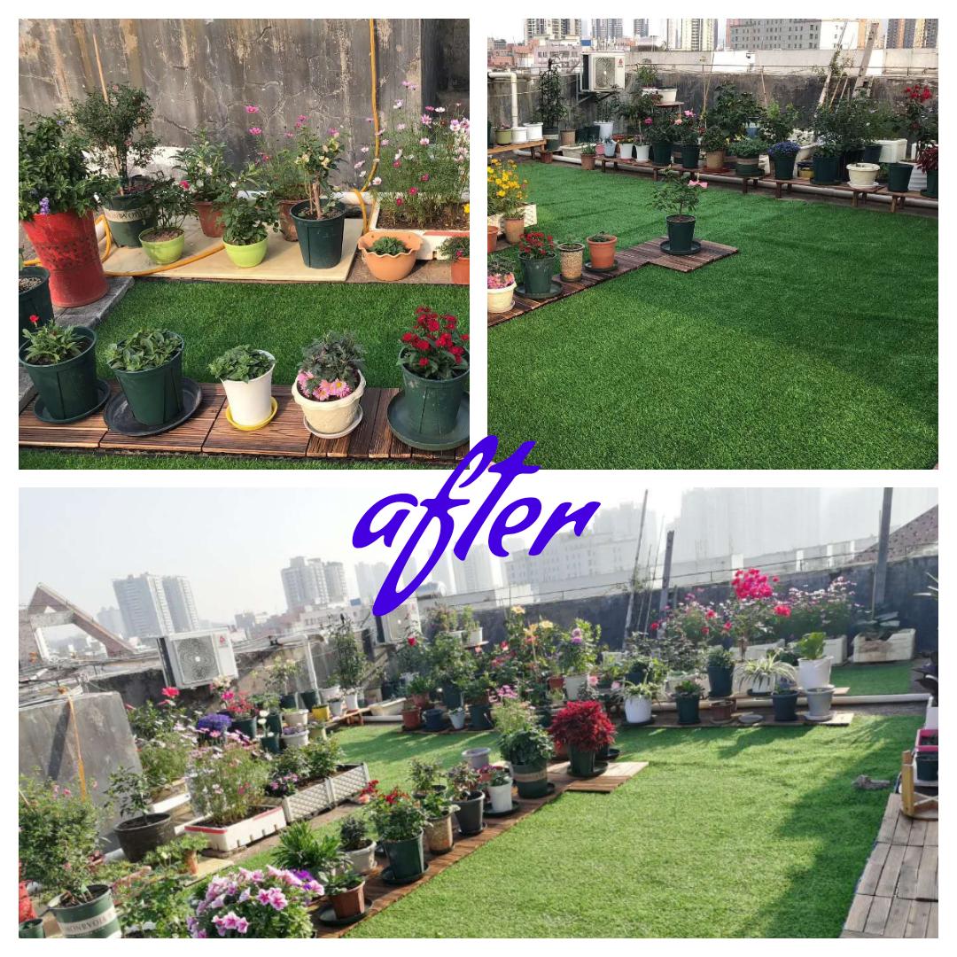 小楼花园0-1养成记