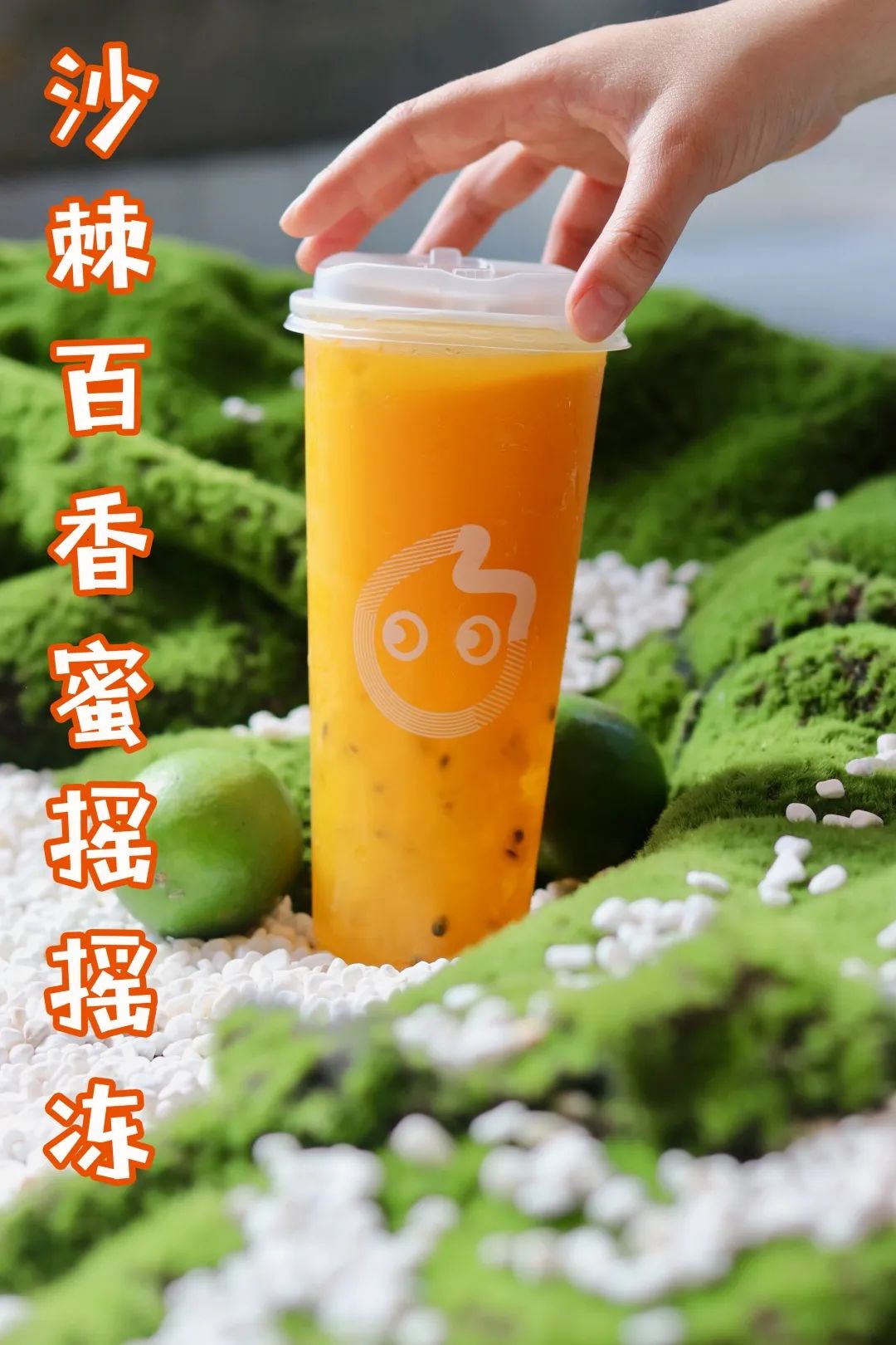 coco摇摇冻饮品推荐,coco奶茶半价活动