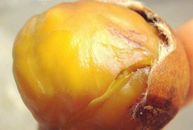 南京人冬天吃什么菜,南京人爱吃的早餐