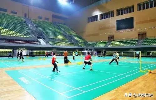 成都公共球场,成都公共体育场馆