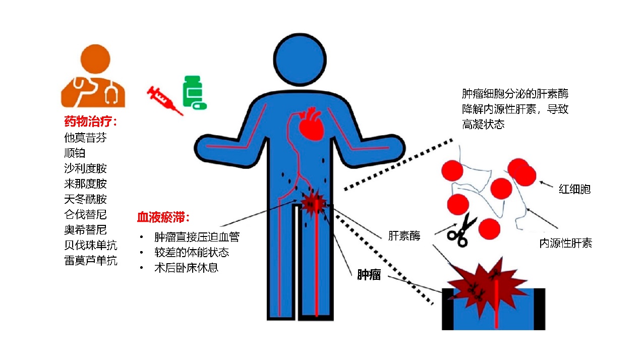 深静脉血栓会是癌症引起的吗,为什么癌症的人容易肺感染