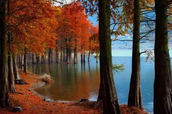 带你了解梅州,梅州介绍宣传片