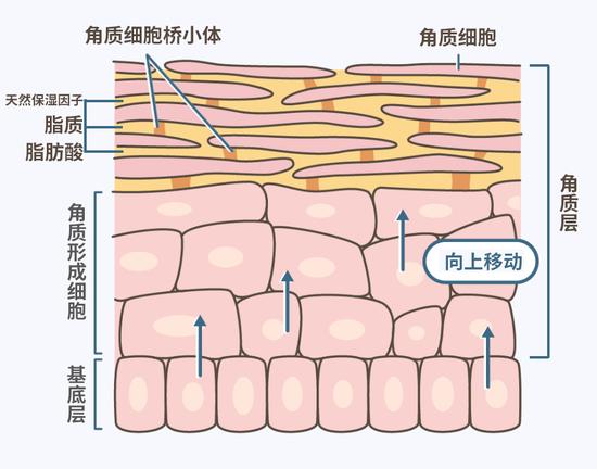 兰蔻小黑瓶到底好不好,兰蔻小黑瓶解析
