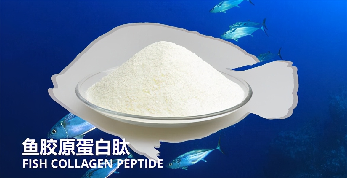 鱼皮提取胶原蛋白肽,鱼皮胶原蛋白肽