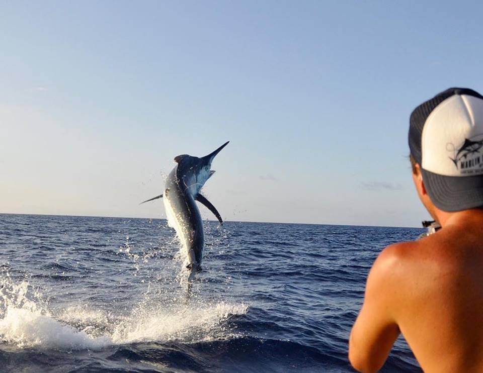 海钓超级刺激,海钓极限钓鱼