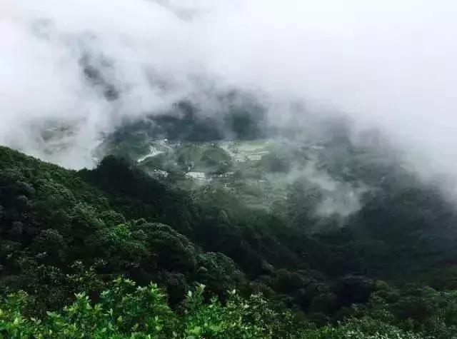 广州周末踏青好去处人少的地方,适合清明踏青的地方广州有哪些