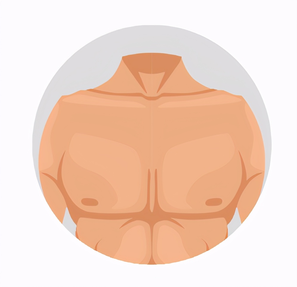 人类脱毛是为什么,人类脱毛期