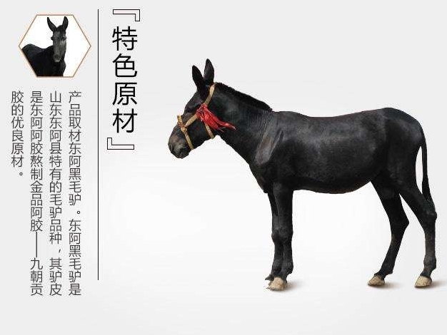 本草纲目中阿胶的功效,本草纲目记载阿胶功效