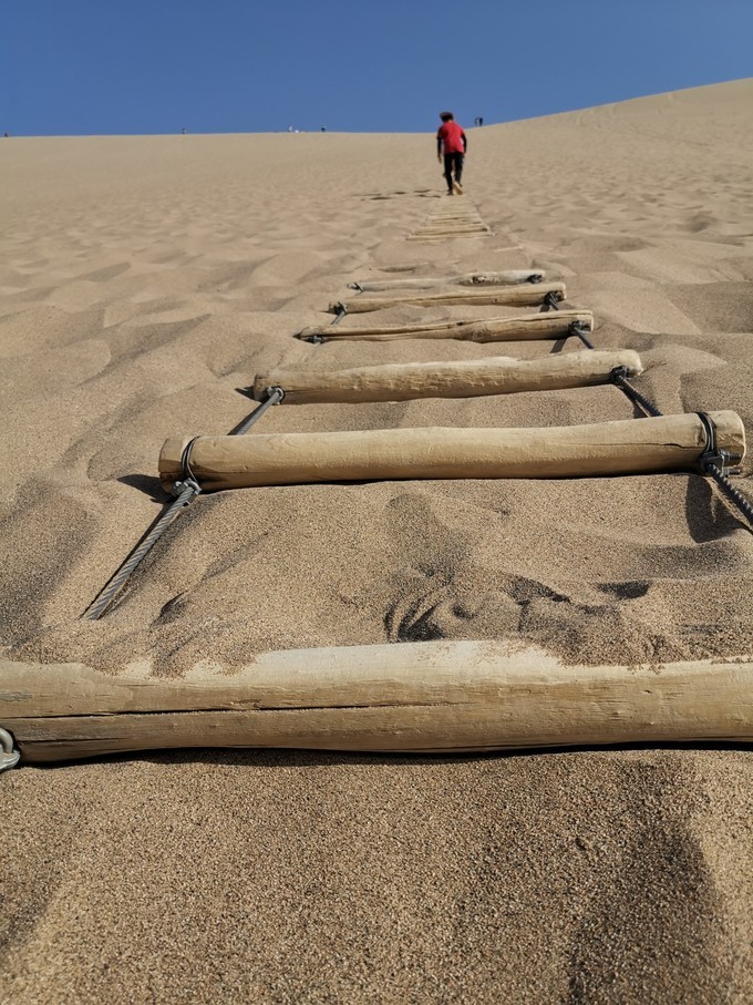 敦煌博物馆东方甄选看世界讲解,敦煌艺术馆游玩攻略